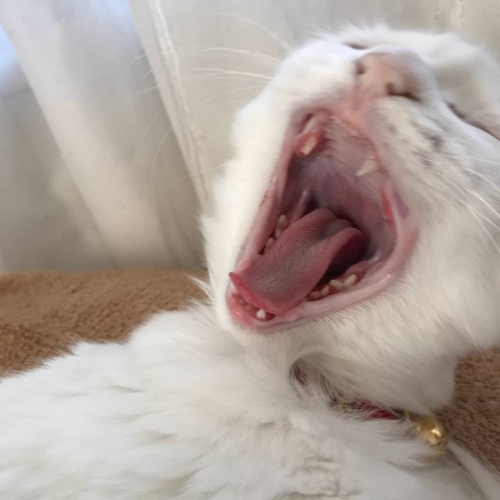 Fc3c1da3 d855 4d37 9f30 943a540ad211 1512872061604