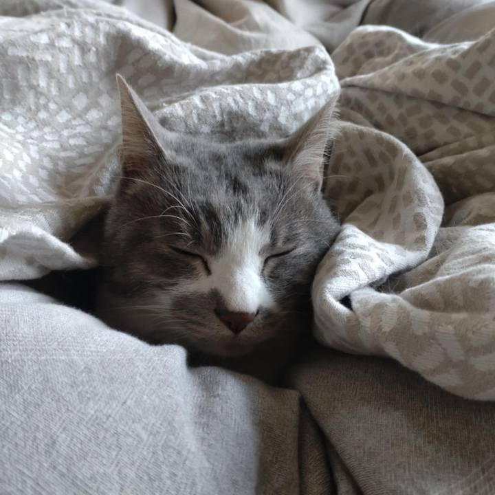 Fc3c307f bd6d 4ef4 bafa 4999bec3a889 1766470523219