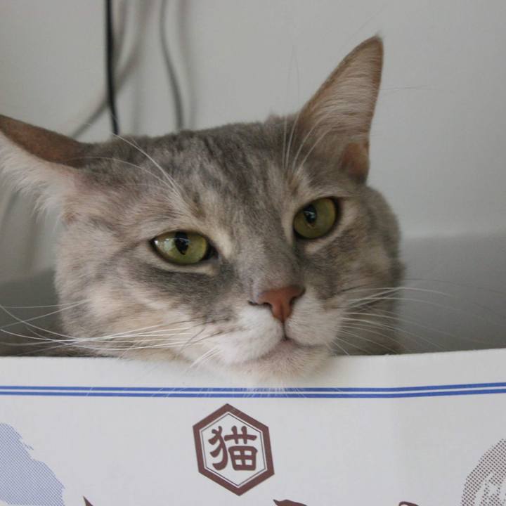 Fc3c5e01 92f3 4849 80ad 9354530f1d8d 1548231668181