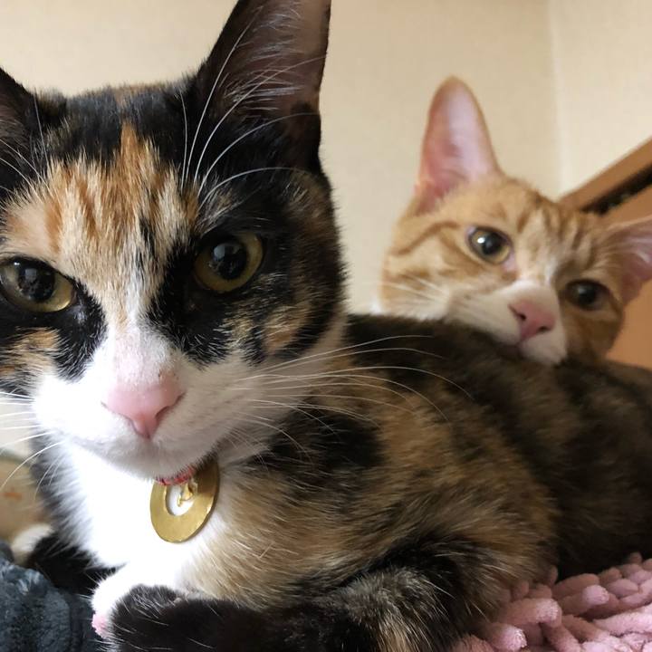 Fc3c958c e8f4 42e7 9727 6a74065b14c3 1551531342167