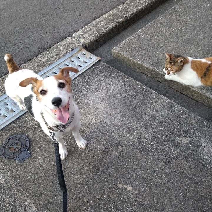 Fc3ce85c ae1a 4d9b bc02 4fff595d54a3 1758118357541