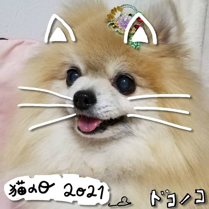 Fc3cf79f 13f7 4727 a432 80b903a4f027 1613966288786