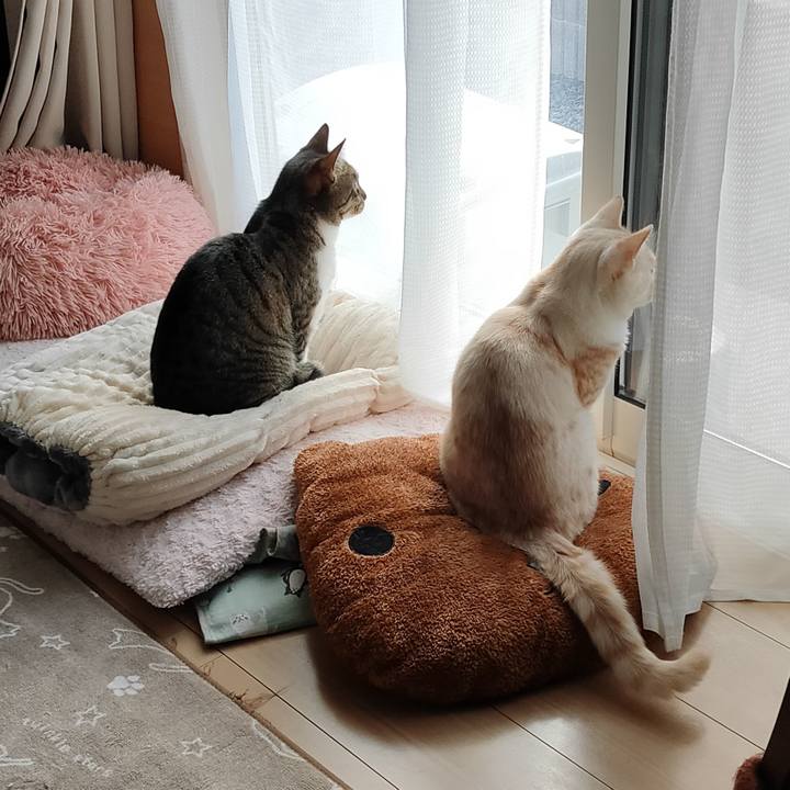 Fc3d1860 7b04 4dc8 9571 b4e4d3b2a87d 1677802683554