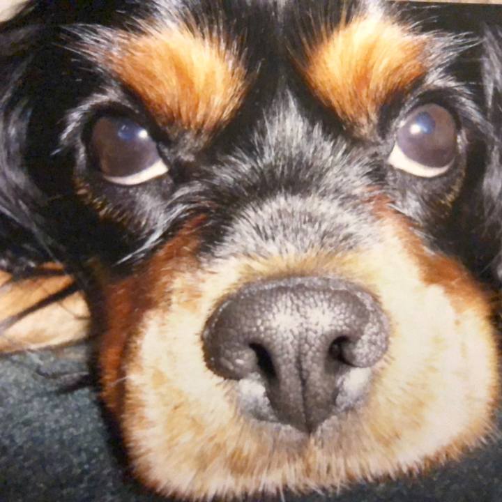 Fc3d59d4 27d9 434e 8bc5 bfcfb6ee8462 1598689027990