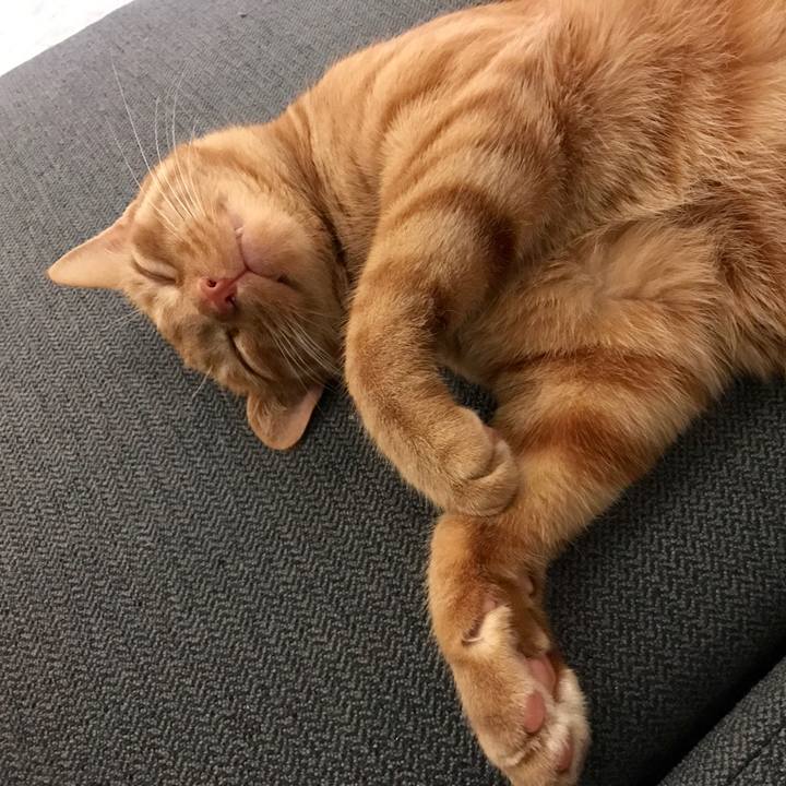 Fc3d5c5c 5d61 48d6 be0f 3d8ce0ce6dc4 1589114183760