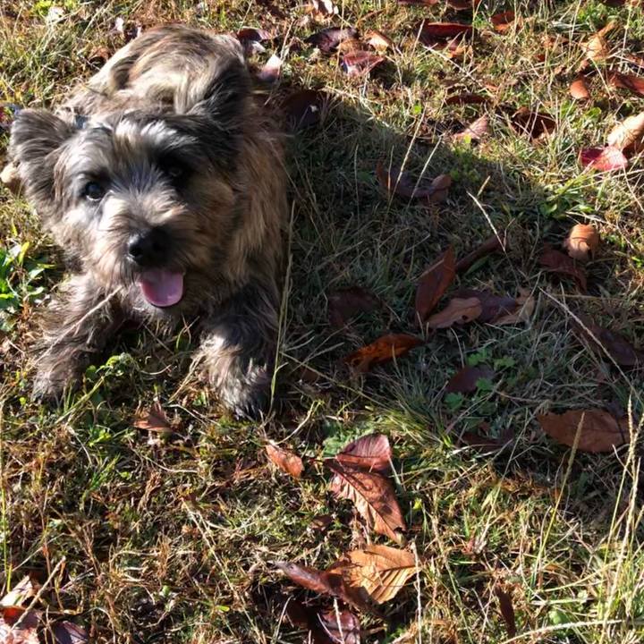 Fc3d5f60 dcc4 4c8e 9f4e 5f877cbb9729 1613227857637