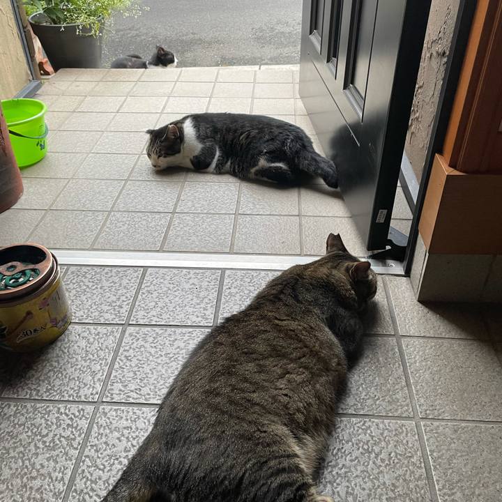 Fc3d6ccc e51c 4c77 a586 4ffa9b059587 1628673126891