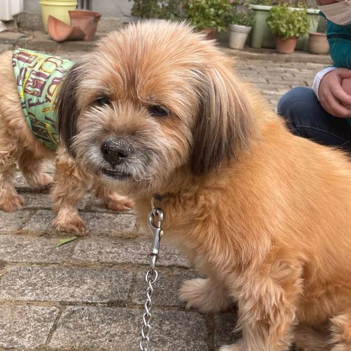 Fc3e8d4f ef81 4ed0 9e22 bea3c6270866 1641189941498