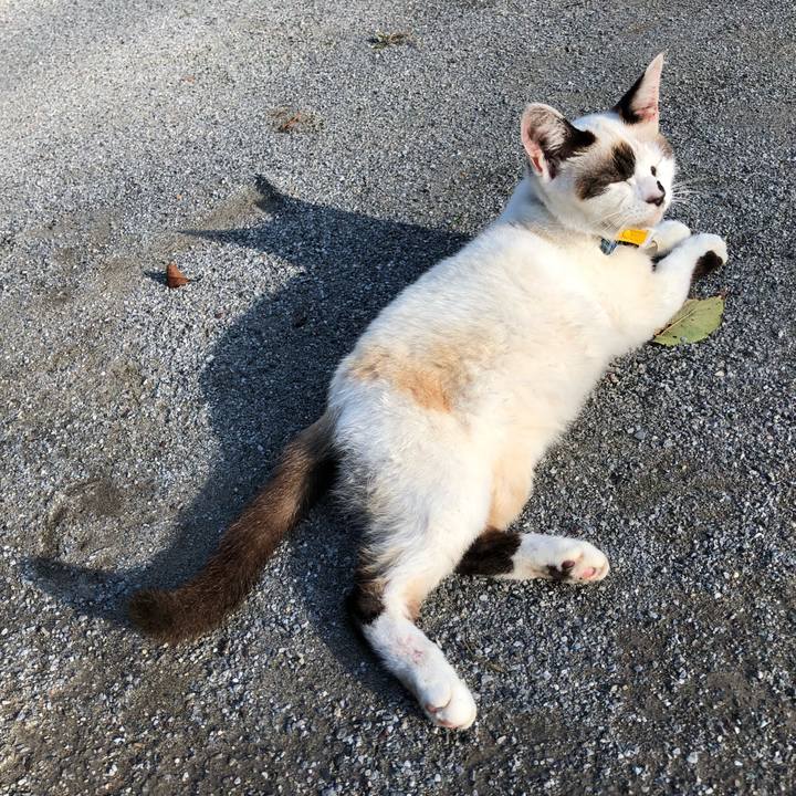 Fc3e97a7 f719 4947 9c42 c106d2e36b6b 1638012533925