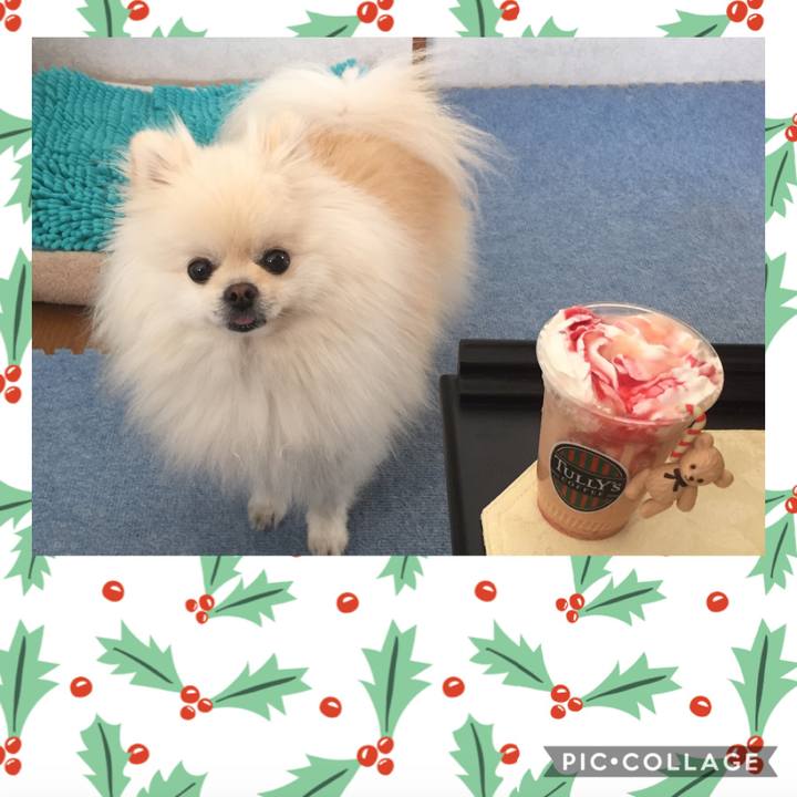 Fc3eab1f 6835 462a ac9e 1dcfeaa58c04 1573865279170