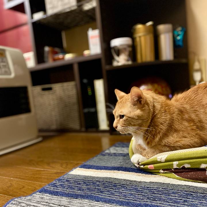 Fc3eada2 d4df 46fc 8ffd fb30fa8ebf21 1766101756509