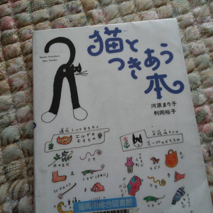 Fc3eb2b4 3ab2 4470 852a b62f28311b2d 1521677595739