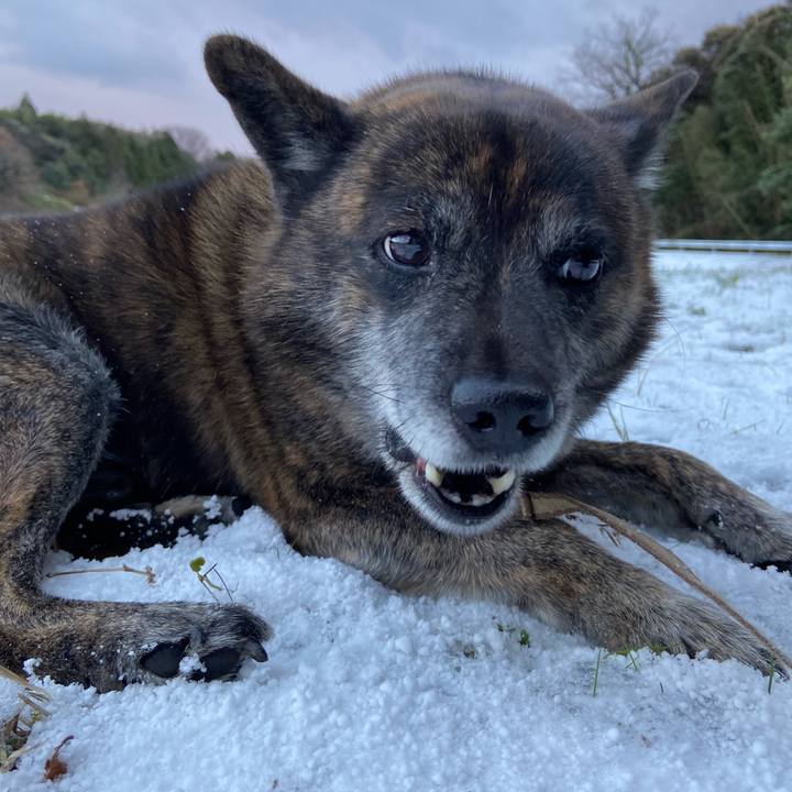 Fc3eea47 1d06 4fe7 bdfe 3018abf3efa1 1608071161156