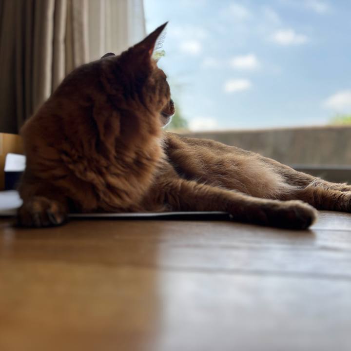 Fc3eee68 94aa 44b7 8884 689e2059b459 1756689757226