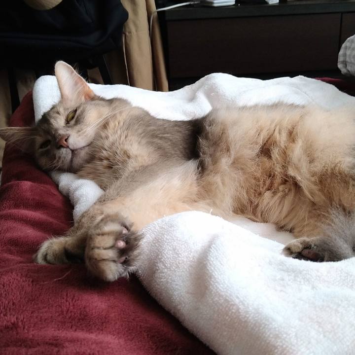 Fc3ef682 c548 408a 84c0 56da5ef36823 1625298038566