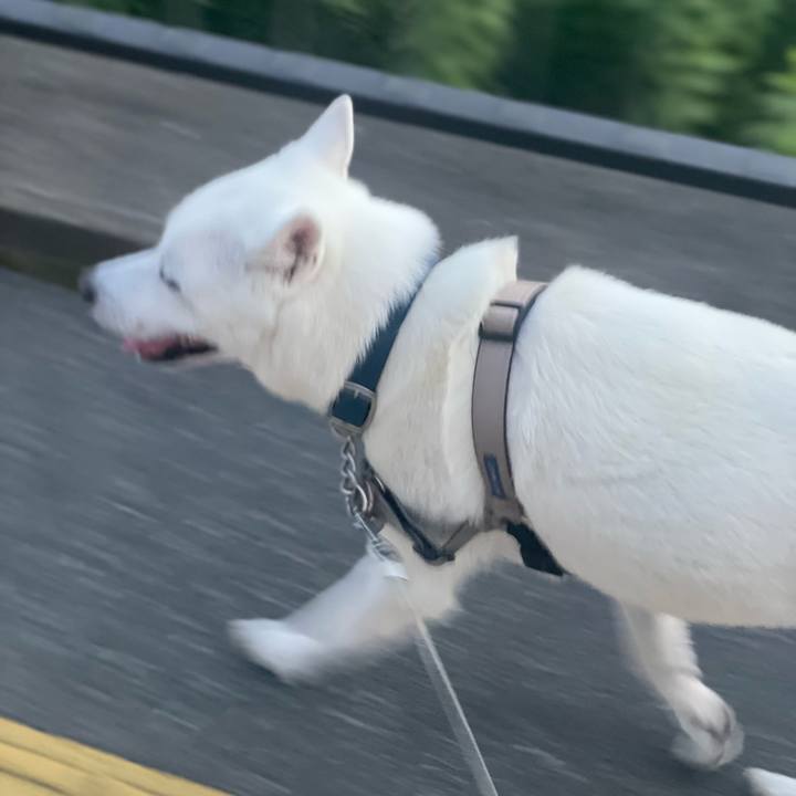 Fc3f1016 047f 4899 a1b2 ede827ee4183 1722721285543