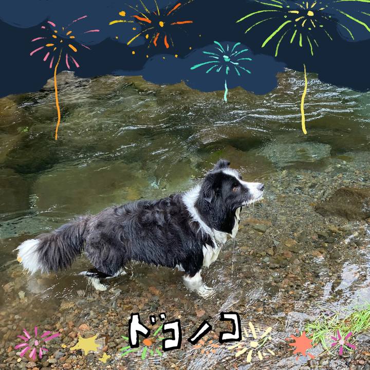 Fc3f1baf 61a8 491e bc22 b407634d8717 1723287226053