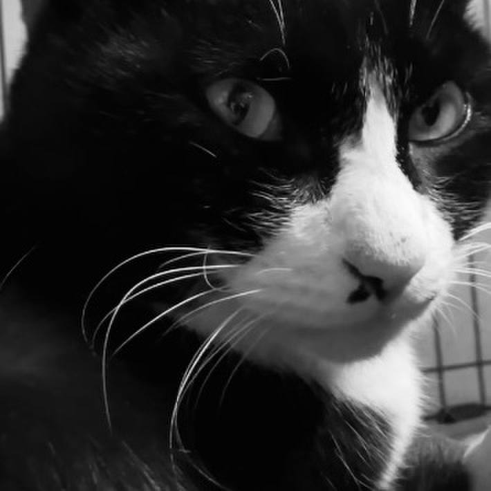 Fc3f4b8e 9d9e 4544 b266 08f03f8ca81d 1738316146835