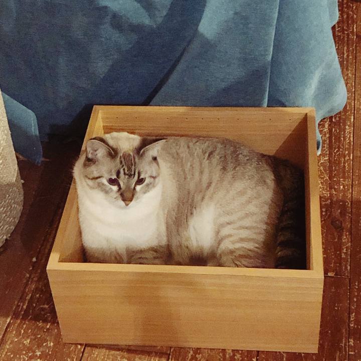 Fc3f5cd2 828f 4f83 9a78 527f52434cb1 1759440101693