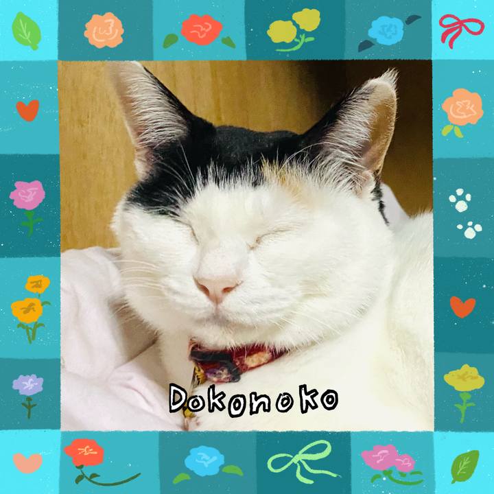 Fc3f6651 f157 4a44 bf36 4f3893708f00 1715004544835