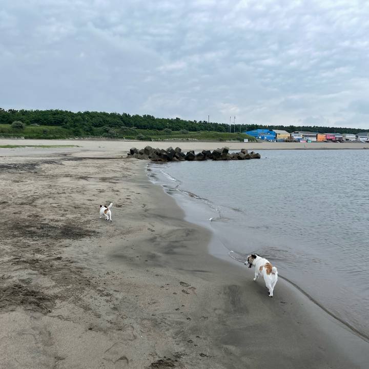 Fc3f75b7 d81e 4ab8 a7b9 58b0d39e977f 1658878570341