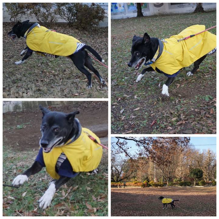 Fc3f84da 84c5 4cb4 8331 b0946ba71b67 1765589160928