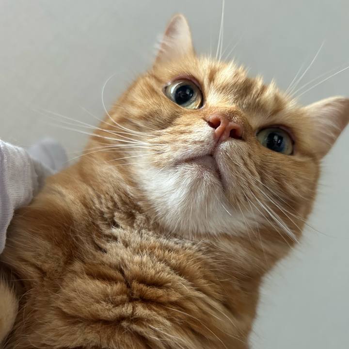 Fc3f9a8a 0120 49fd b20a ef6f2c21e55e 1752892103951