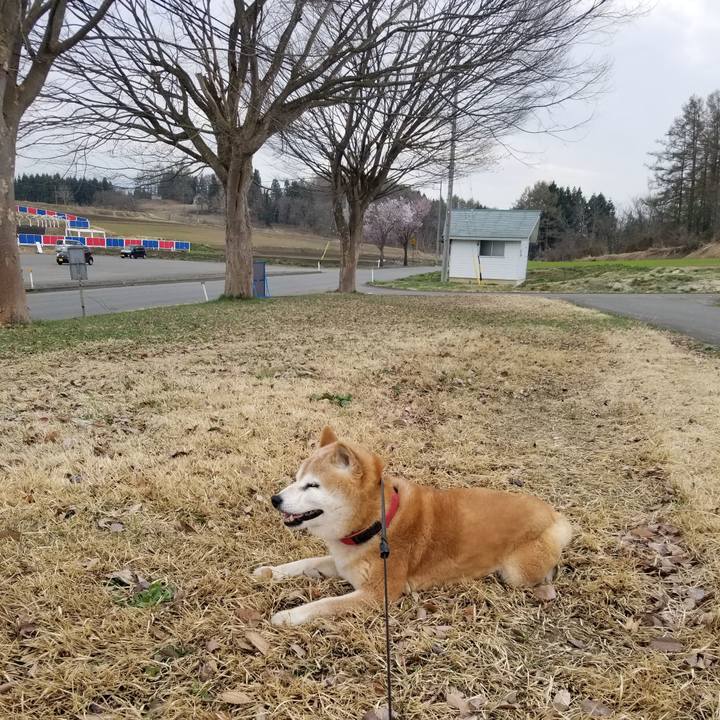 Fc3fa4f1 85a0 4657 a436 f54a77eceb44 1745138276939