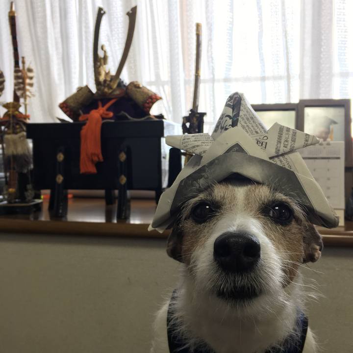 Fc3faf3b cc00 417f 8010 b77fa63f7116 1588639910560