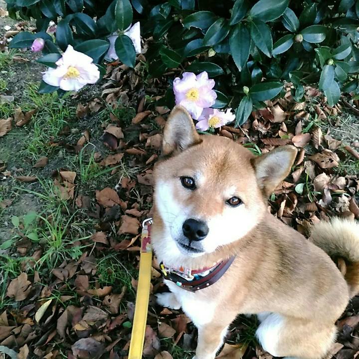 Fc4005f1 4afb 409c 9892 b55f789baf0d 1540455867761