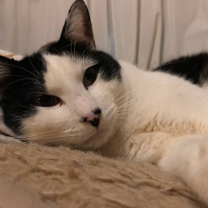 Fc402a20 5e6b 48c2 a3ff c4e0276167f0 1551370233722