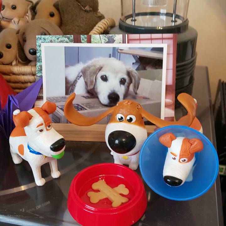 Fc40324e babe 49d1 8922 e2b72aeeea69 1564282674312