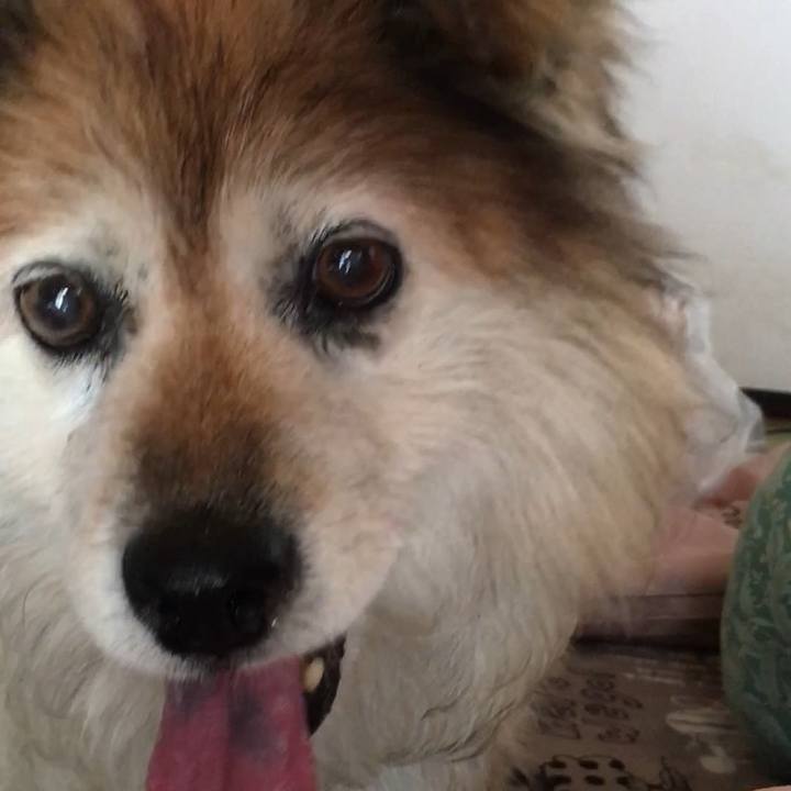 Fc404d62 b0eb 44b3 8a6e 2cbbd00f41a1 1617281161715