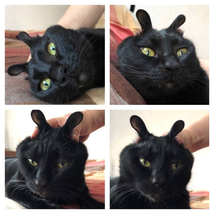 Fc406c00 82e8 43ba bcc3 7050fbc3e3e3 1672555736341