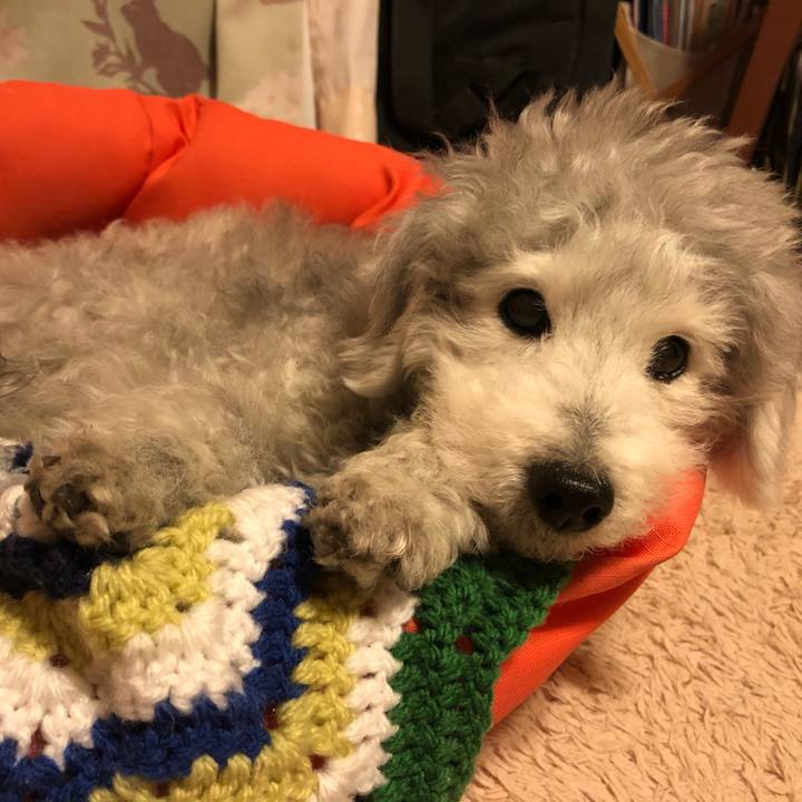 Fc40c7db 5e53 4b2e b2b9 ffd90e48132f 1586604190330