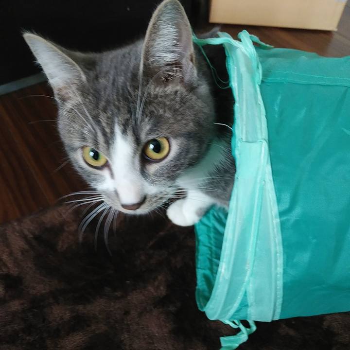 Fc411579 0d31 4606 a907 6300dd16d6e6 1576626669317