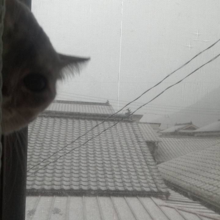 Fc415501 2b51 4914 aafc 1fdb9a7a87a1 1513467823438