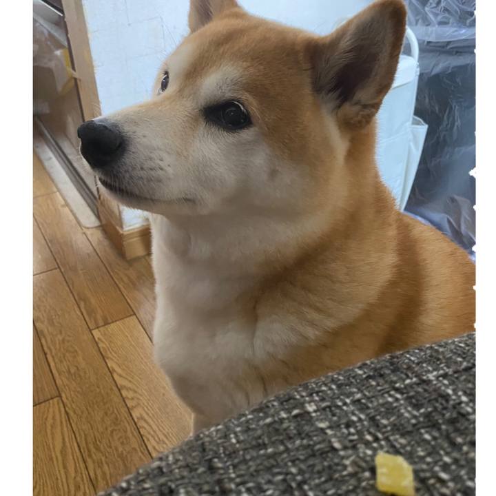 Fc415ad3 15d7 420c 8e5a f82f7bf82723 1633740198861