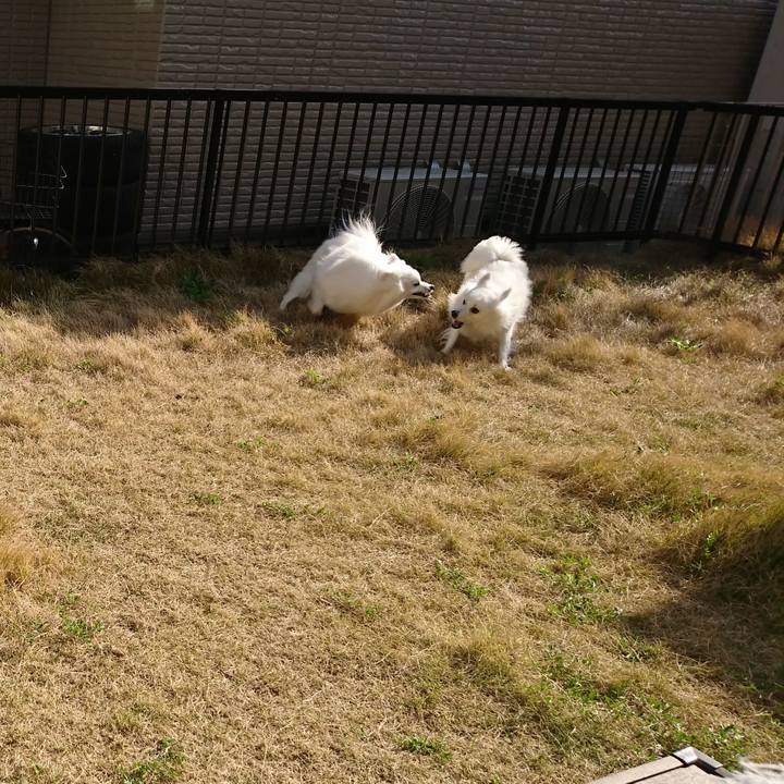 Fc417b1e f25e 4184 91b1 f45460c17822 1586590471316