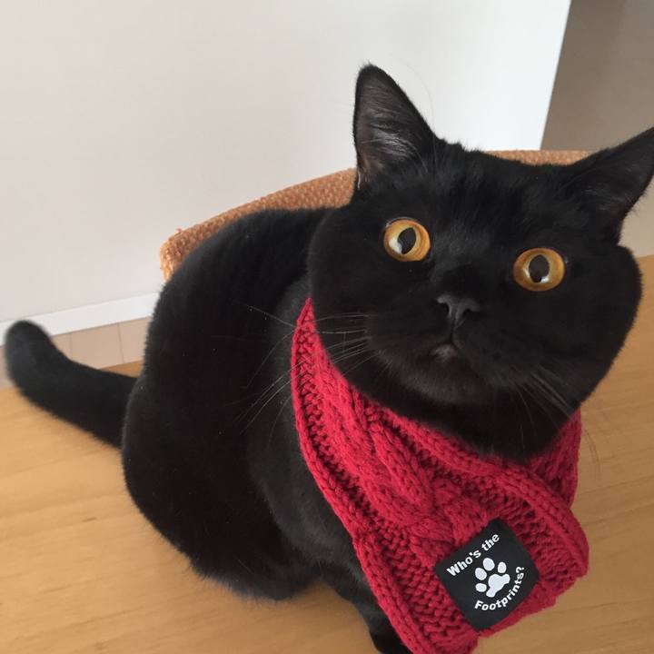 Fc41919c ed90 4198 a8fc fb054c211457 1514735953570