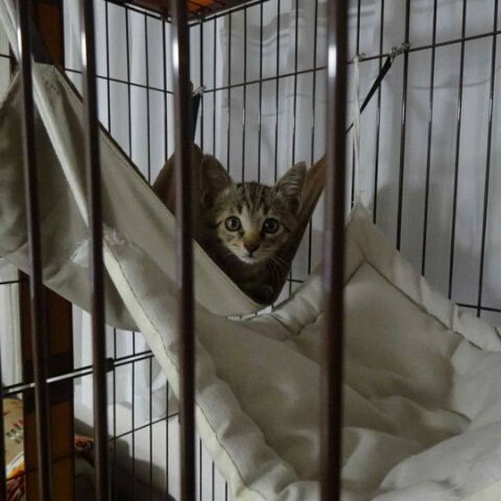 Fc41ab7d ae1b 4f62 8222 7d18f8bd314f 1526529767110