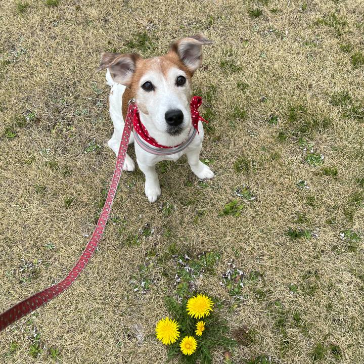 Fc41af25 cf0a 4d14 bc23 7881fc9a8bb2 1619150396053