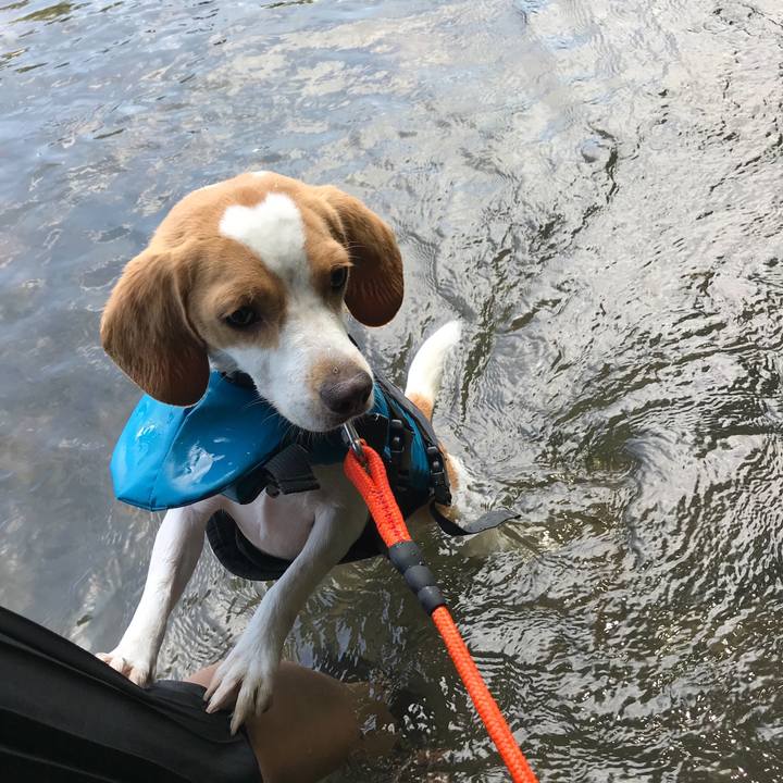 Fc41f28c 9bca 46d3 a087 67eb499e5ad4 1566965671822