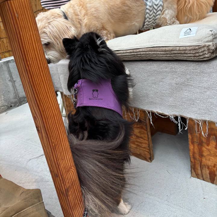 Fc4226ce 3c3f 4363 bdc1 254a0705d2ad 1759566147351