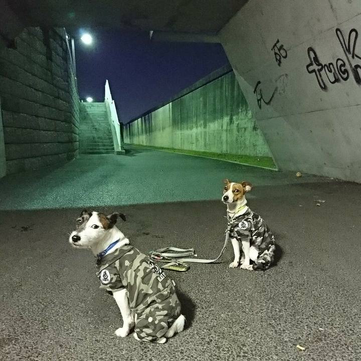 Fc422b99 3e21 4d66 8e39 c58523ff654b 1547462941495