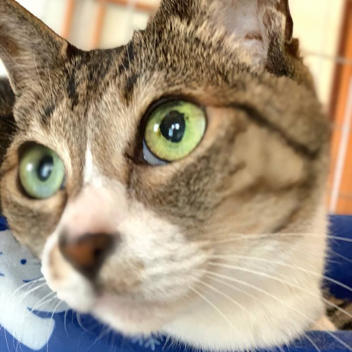 Fc42336a 3bf4 4271 af95 eced68a97477 1592787701965