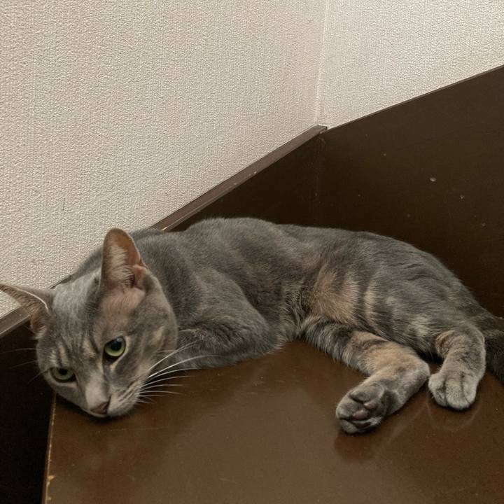 Fc42547c 5d5f 4418 bf7c 06afb3778f09 1696041557913