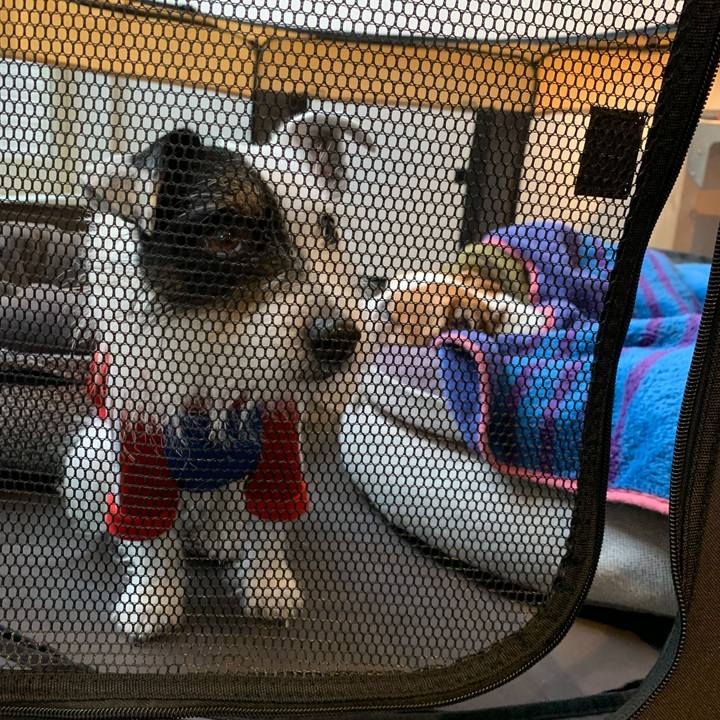 Fc429da8 f5c4 4e38 ab8b 8c3776e66cc3 1644474967666