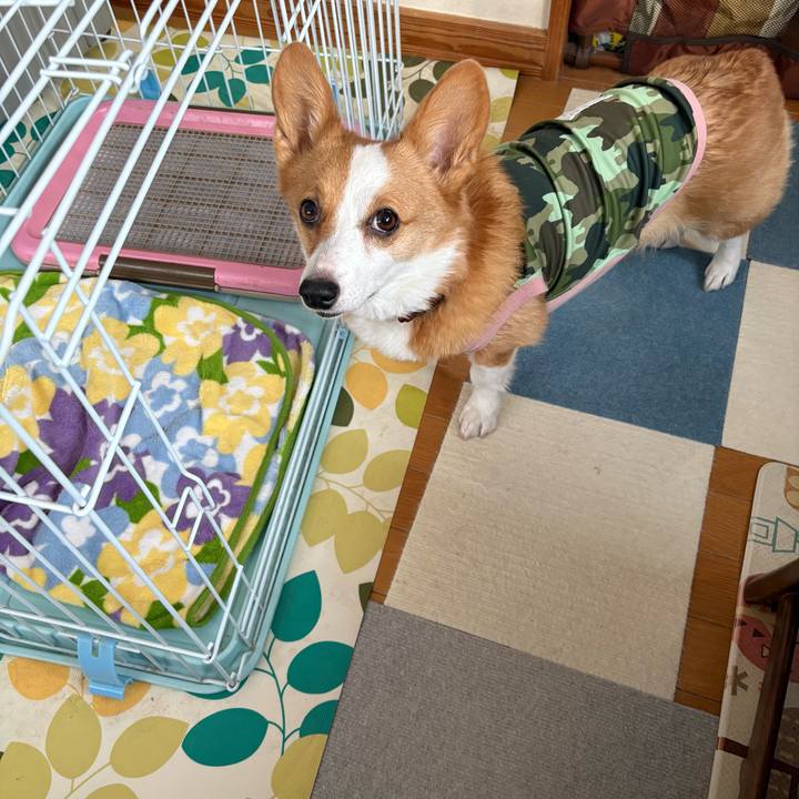 Fc42ab8c 0b23 4032 ac98 6091f8c9a64a 1771394616968