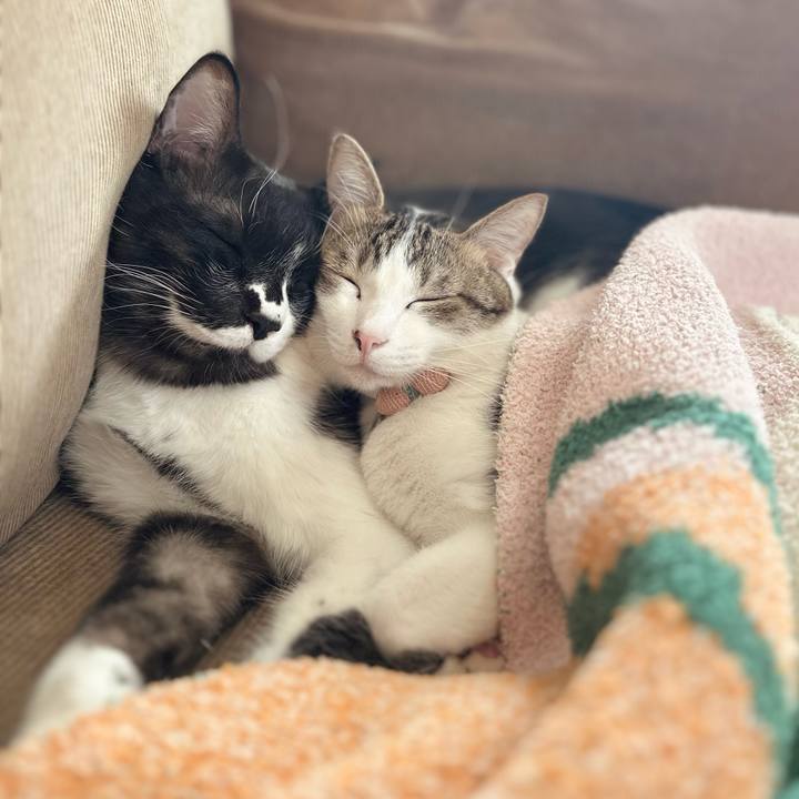 Fc42ae11 7fac 431d 966f f1a7c0a1e72b 1773376516838